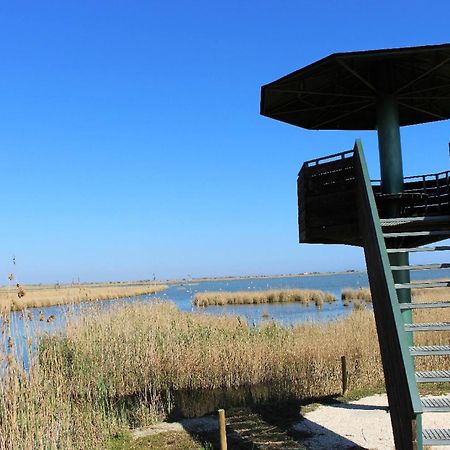 Quet - Casa Rural Con Piscina Privada En El Delta Del Ebro - Deltavacaciones Deltebre Exteriör bild
