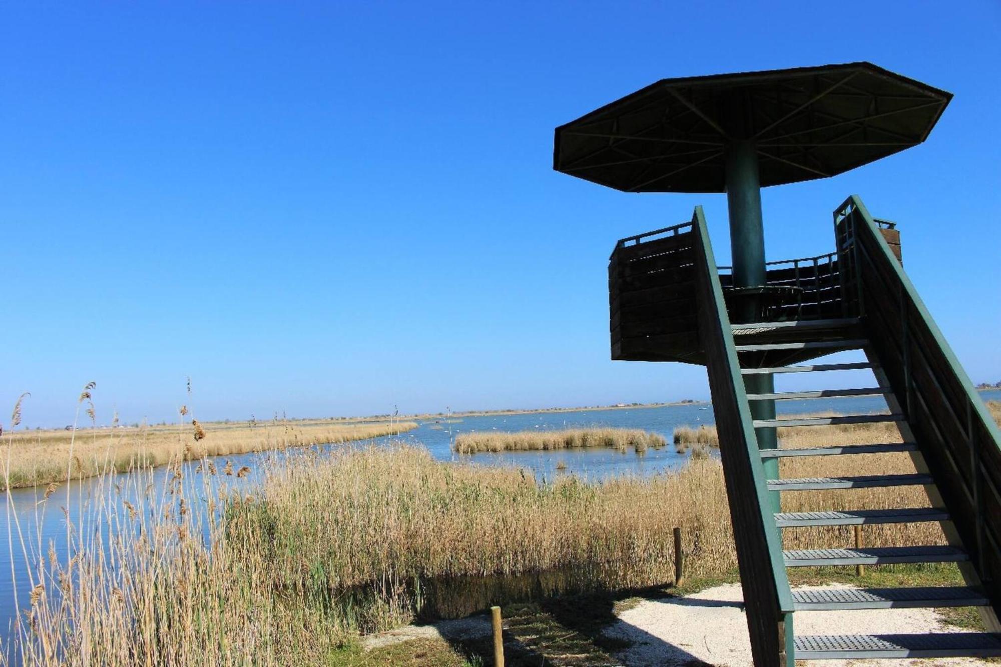 Quet - Casa Rural Con Piscina Privada En El Delta Del Ebro - Deltavacaciones Deltebre Exteriör bild